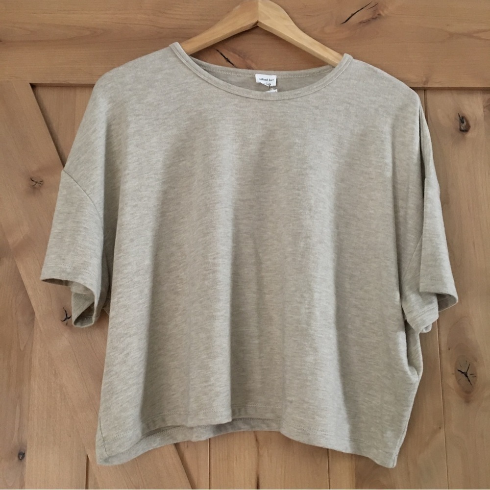 ARITZIA Wilfred Free Lounge Cropped T-Shirt Size 1X